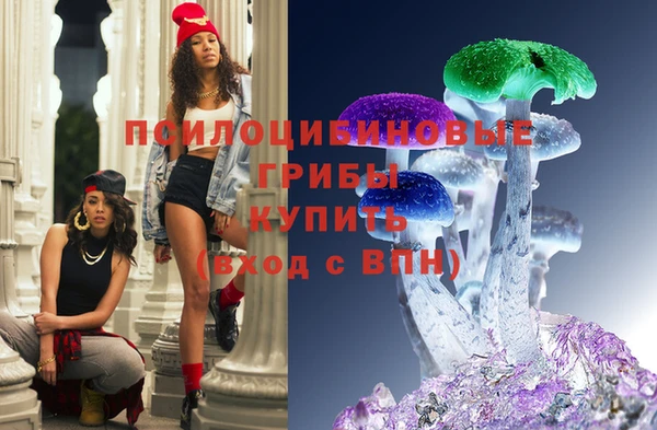 apvp Абинск