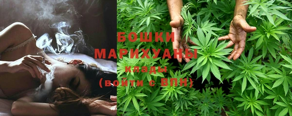 индика Алзамай