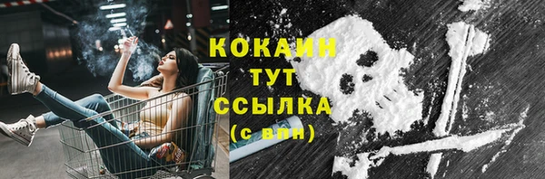 дживик Абаза