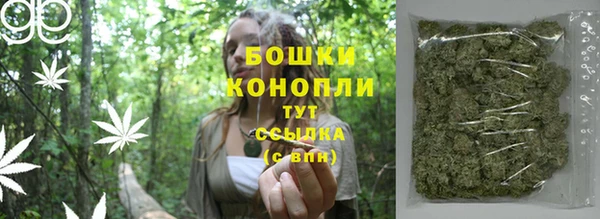 дживик Абаза
