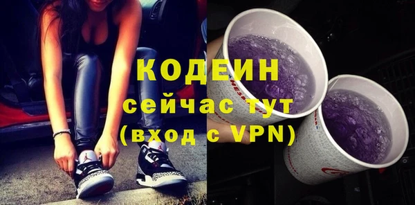 дживик Абаза