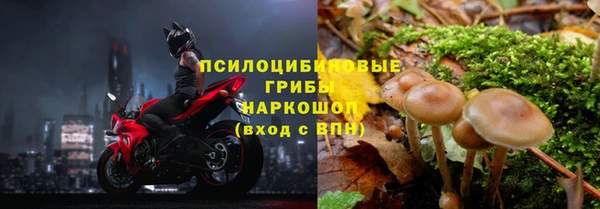 дживик Абаза