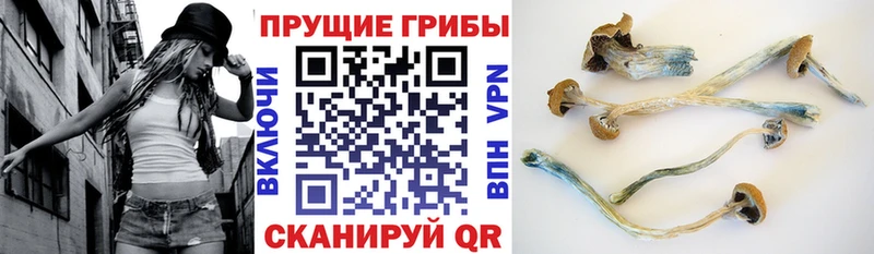 Псилоцибиновые грибы Psilocybe  hydra онион  Касли 