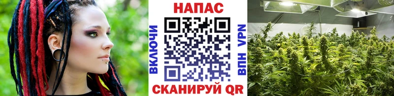 Шишки марихуана конопля  hydra маркетплейс  Касли 